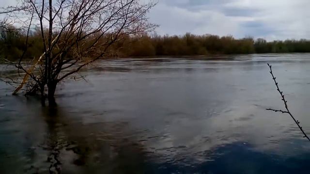 Дон в разливе 2018 смотреть онлайн