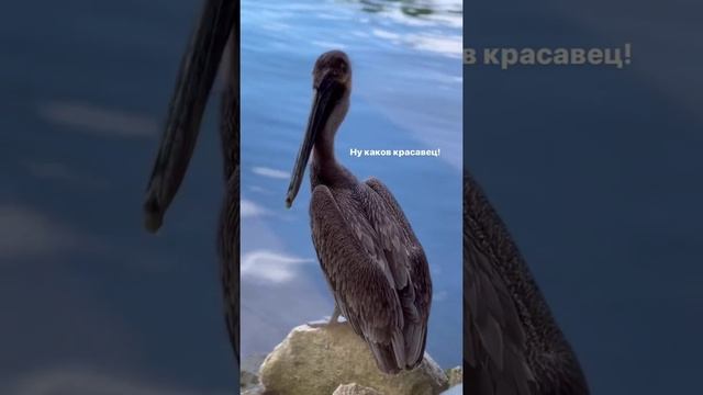 Александра Поснова с семьёй на отдыхе в Мексике?️ смотреть онлайн