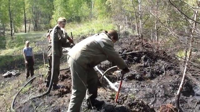 M2U00968 Северная Грива пролив торфа торфяной ствол смотреть онлайн
