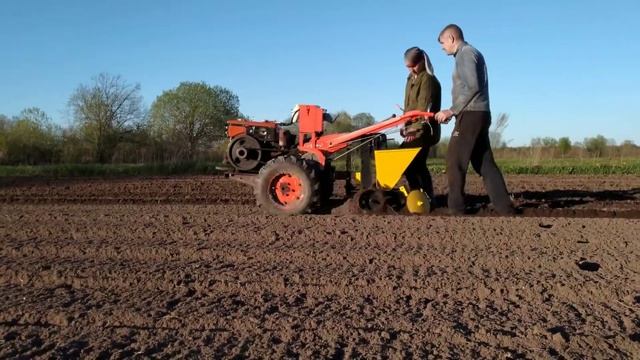 Посадка картофеля млтблоком и картофелесажалкой целина кс-01 смотреть онлайн