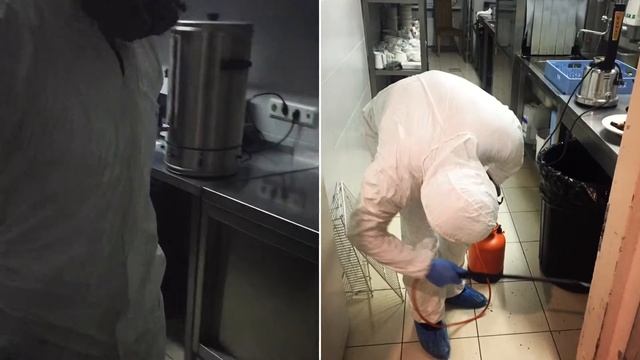 Обработка ресторана, гостиницы, санатория от вредителей смотреть онлайн