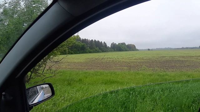 Кукурудза після нікосульфурону та дикамби. смотреть онлайн