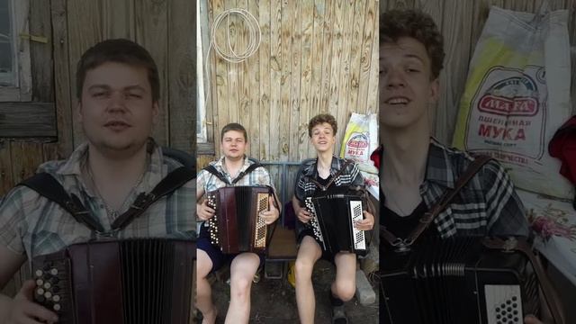 Летние будни баяниста! смотреть онлайн