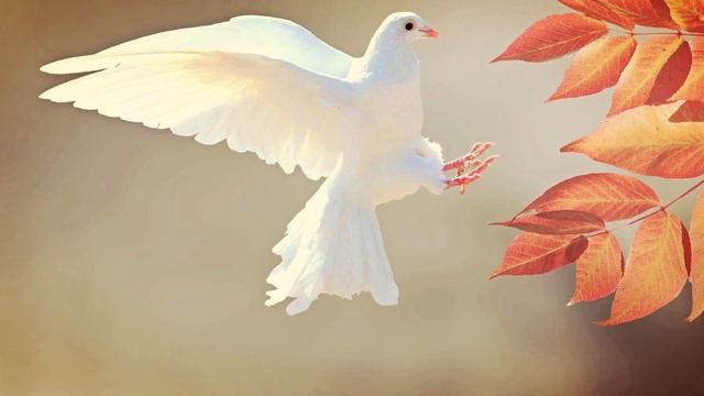 Релаксация с голосом ? Аутотренинг для нервной системы. Медитация для успокоения нервов Расслаблени смотреть онлайн