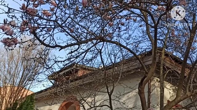 Лена Хеппи.Почему уехала и не вернется.Где родился, там и пригодился смотреть онлайн