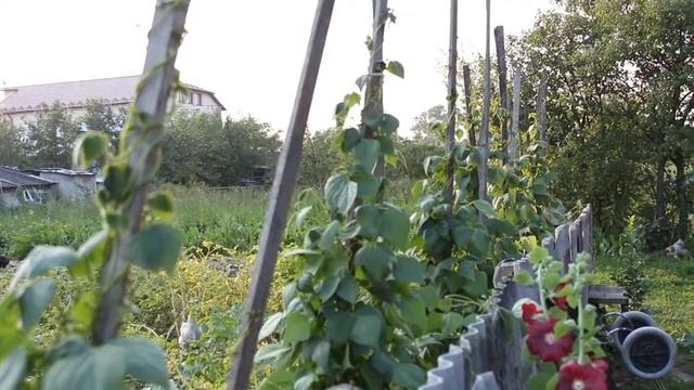 ВЕСНА | Canon EOS 650d 18-55 IS II [HD] (пример съемки) смотреть онлайн