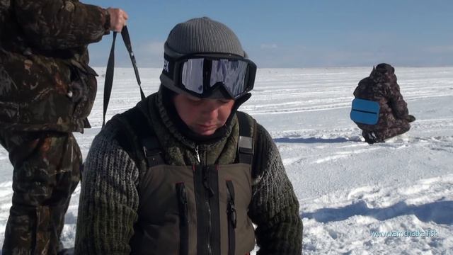 Свежий заход корюшки смотреть онлайн