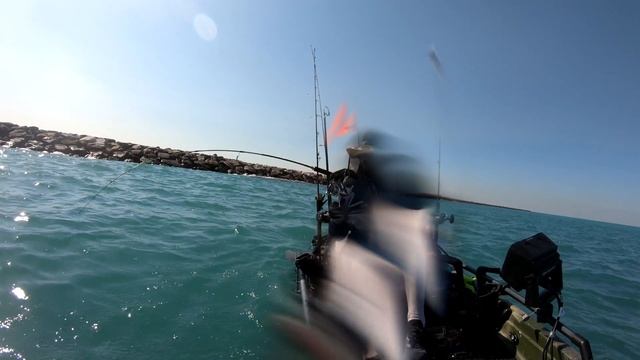 Massive bait caught - Dubai kayak fishing смотреть онлайн