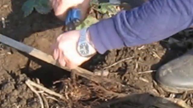 Посадка "Валюты" смотреть онлайн