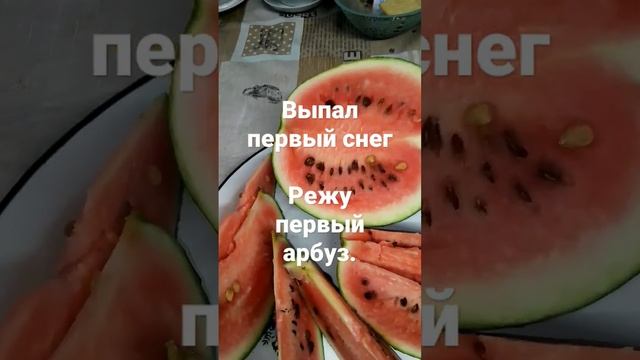 Сомненья прочь..,арбузы у нас растут! смотреть онлайн