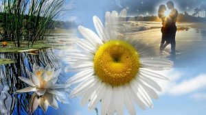 ОСЕНЬ,ОНА НЕ СПРОСИТ...