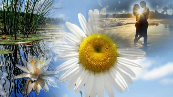 ОСЕНЬ,ОНА НЕ СПРОСИТ...