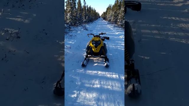 Skidoo Tundra 300