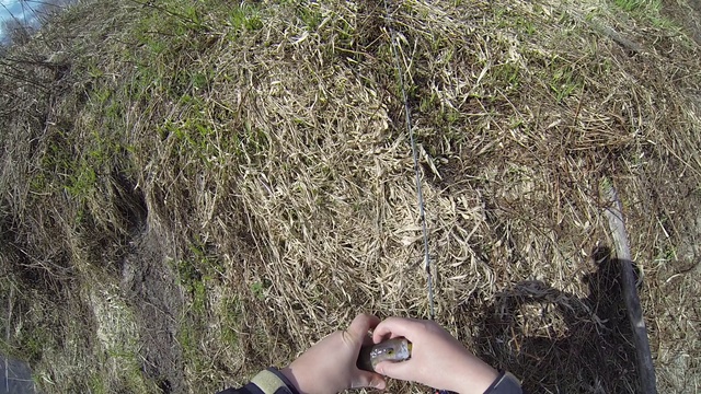 щучка и первый весенний окунь