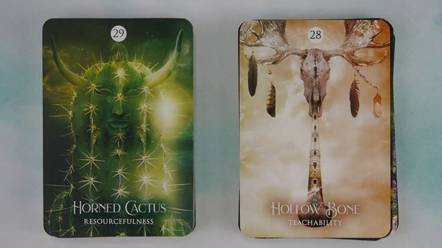The Shaman's Dream Oracle A 64-Card Deck and Guidebook Oracle Deck Unboxing Oracle Cards Walkthroug смотреть онлайн