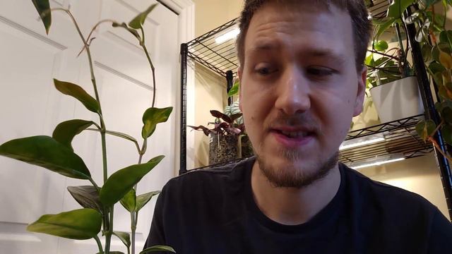 Bon Débarras! 🪴🚮 | Les plantes qui DOIVENT quitter ma collection... 😮 смотреть онлайн