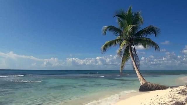 Relaxing Music With Beautiful Nature-peaceful Piano Music, Healthy Sleep Sounds Of The Sea #1