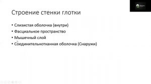 Анатомия пищеварительной системы