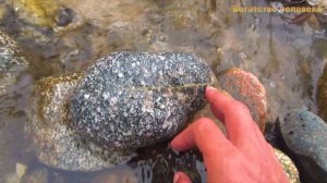 Много серебра и золота можно найти в речных камнях