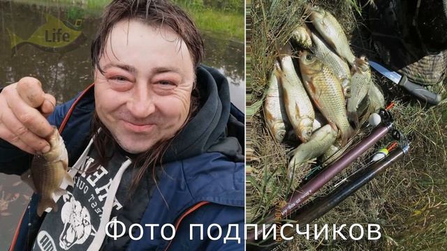 С этими июльскими секретами будете ловить карася тележками! Новые секреты ловли карася в июле! смотреть онлайн