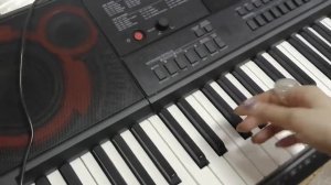 Casio СТ-Х3000. выбор автоаккомпанемента. функция RHYTHM