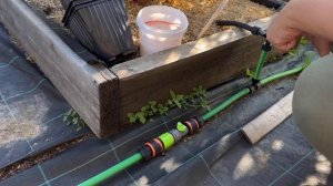 6. Обзор питомника растений // Полив