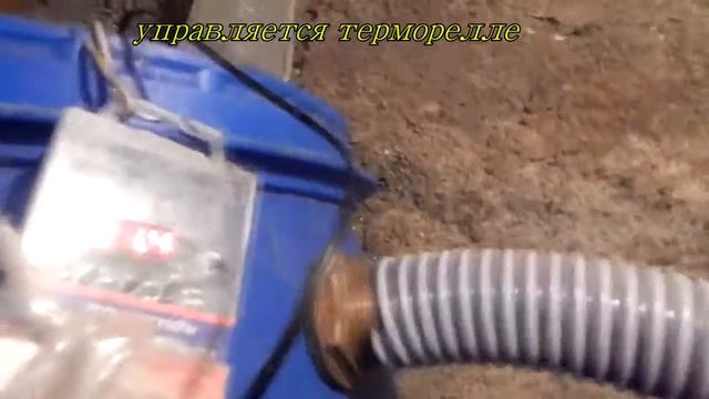 Подвал-ферма. Выращиваем осетров смотреть онлайн