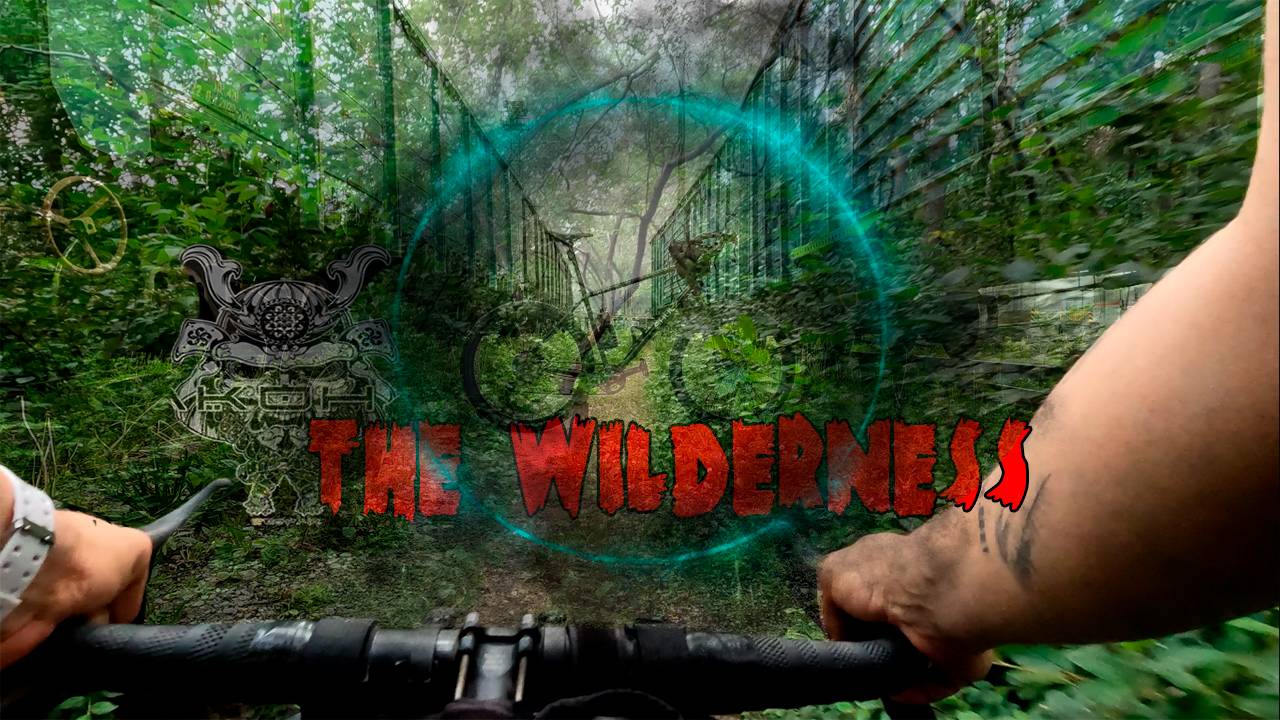 НЕ КАТАЙСЯ ТАК НА ВЕЛОСИПЕДЕ #shulz  Boys Don't Cry #экстрим #thewilderness #экстрим #велоблог #mtb