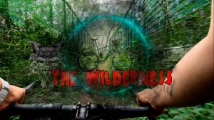 НЕ КАТАЙСЯ ТАК НА ВЕЛОСИПЕДЕ #shulz  boys don't cry #экстрим #thewilderness #экстрим #велоблог #mtb