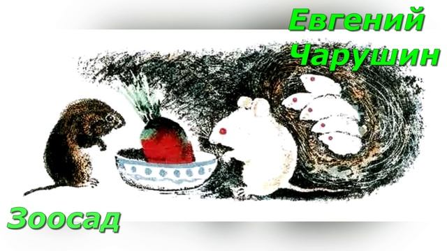 Зоосад. Е. Чарушин. смотреть онлайн