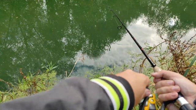 Нашел ДИКОЕ МЕСТО и начал ловить ОКУНЯ / Жор окуня в октябре / Рыбалка 2021 смотреть онлайн