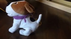 Собака какает