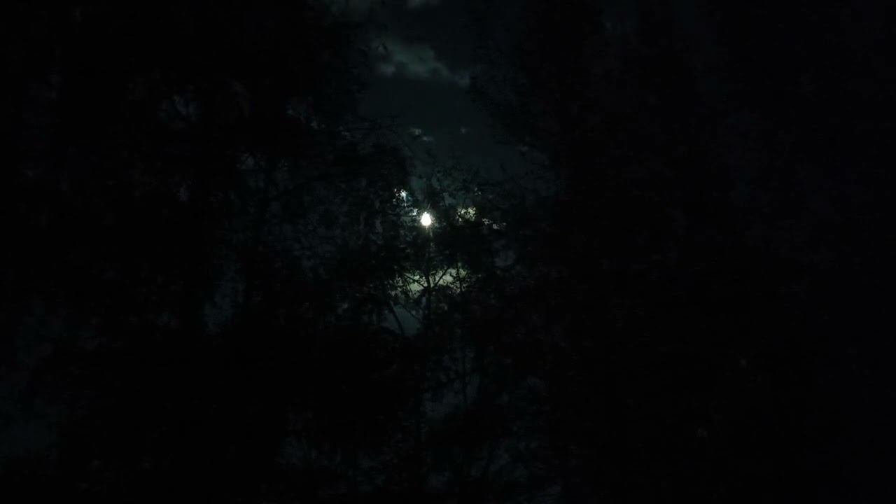 ❤ Чуть-чуть поговорим ❤ легкий ролик ни о чем, и о многом... я скучала по Вам! смотреть онлайн