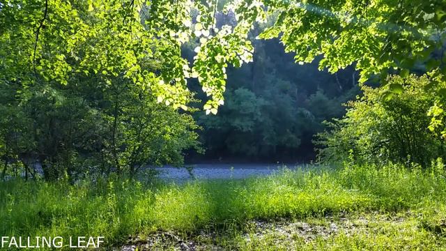 Почему нельзя жениться, если не хочешь испортить себе жизнь смотреть онлайн