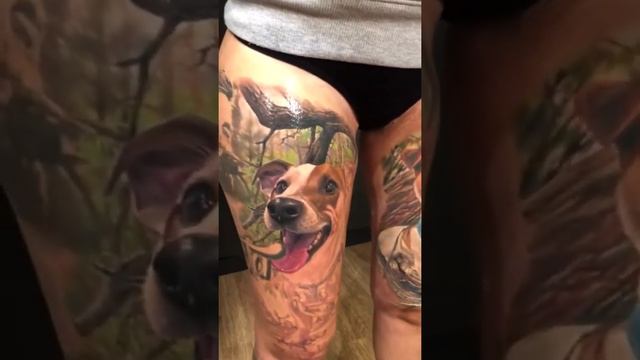 Собачки смотреть онлайн