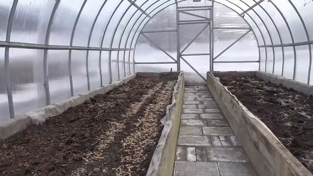 ПЕРВЫЙ ТОМАТ- "РАЗВЕДЧИК" ЗАБРОШЕН В ТЕПЛИЦУ! Ольга Чернова. смотреть онлайн