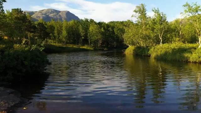 Bird singing and wind blowing on a late summer evening смотреть онлайн