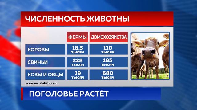 ПОГОЛОВЬЕ РАСТЁТ смотреть онлайн