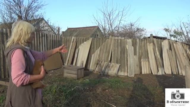 Облагораживаем мини-приют Показываем, что у нас получилось смотреть онлайн