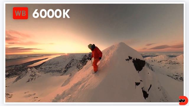 Insta360 X3 | Настройки цвета