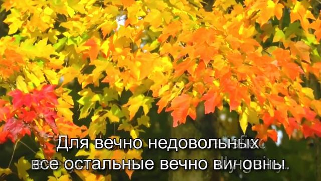 Аффирмации.№208
 Affirmations.№208