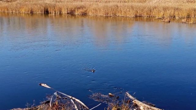 Оренбург р. Урал смотреть онлайн