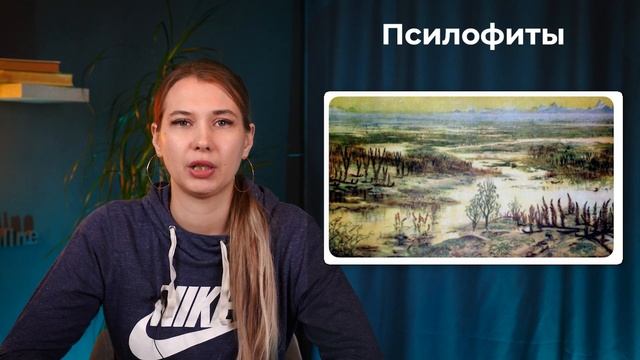 Споровые растения смотреть онлайн
