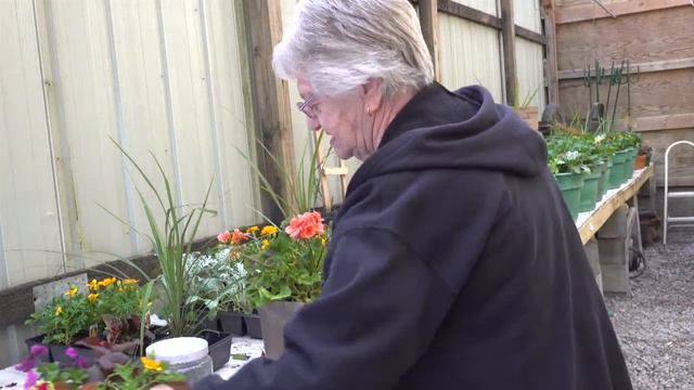 Virtual Planter Design And How-To With Bland's