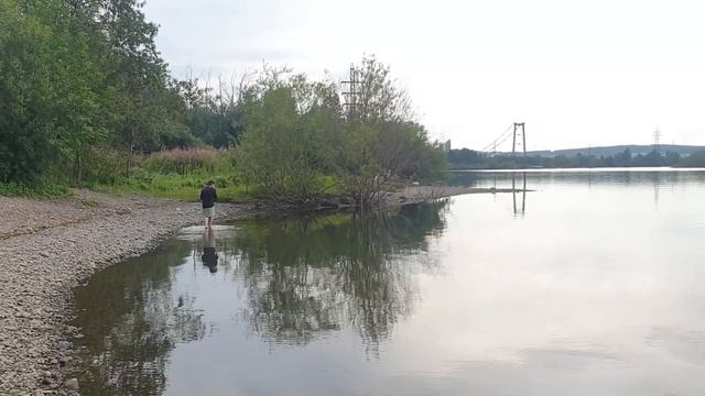 Ондатра Водяная крыса Ангара Красивое видео смотреть онлайн