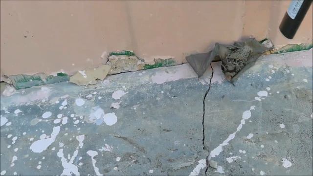 Летучая мышка ругается смотреть онлайн