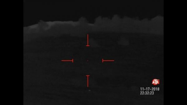 Охота отстрел шакала, лиса, волк  НАЧАЛО Wolf Hunting In Ingushetiya  صيد الذئاب في انغوشيا روسيا