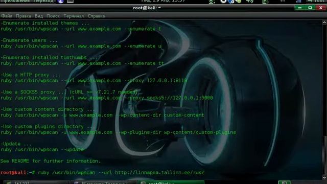 WPScan в Kali Linux смотреть онлайн
