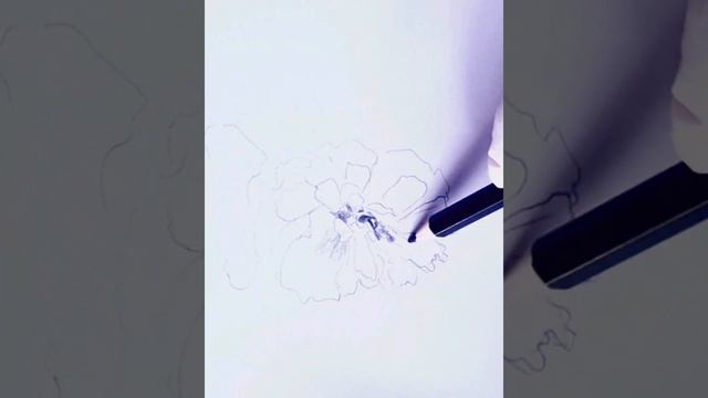 Sketching Roses in the Breeze @mydoodleblue смотреть онлайн