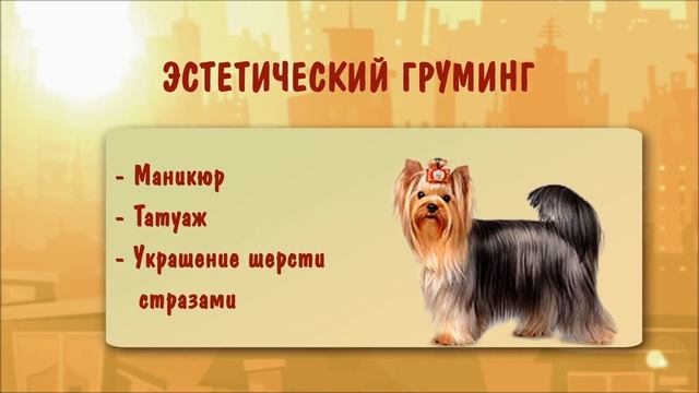 Необычные профессии. Грумер смотреть онлайн